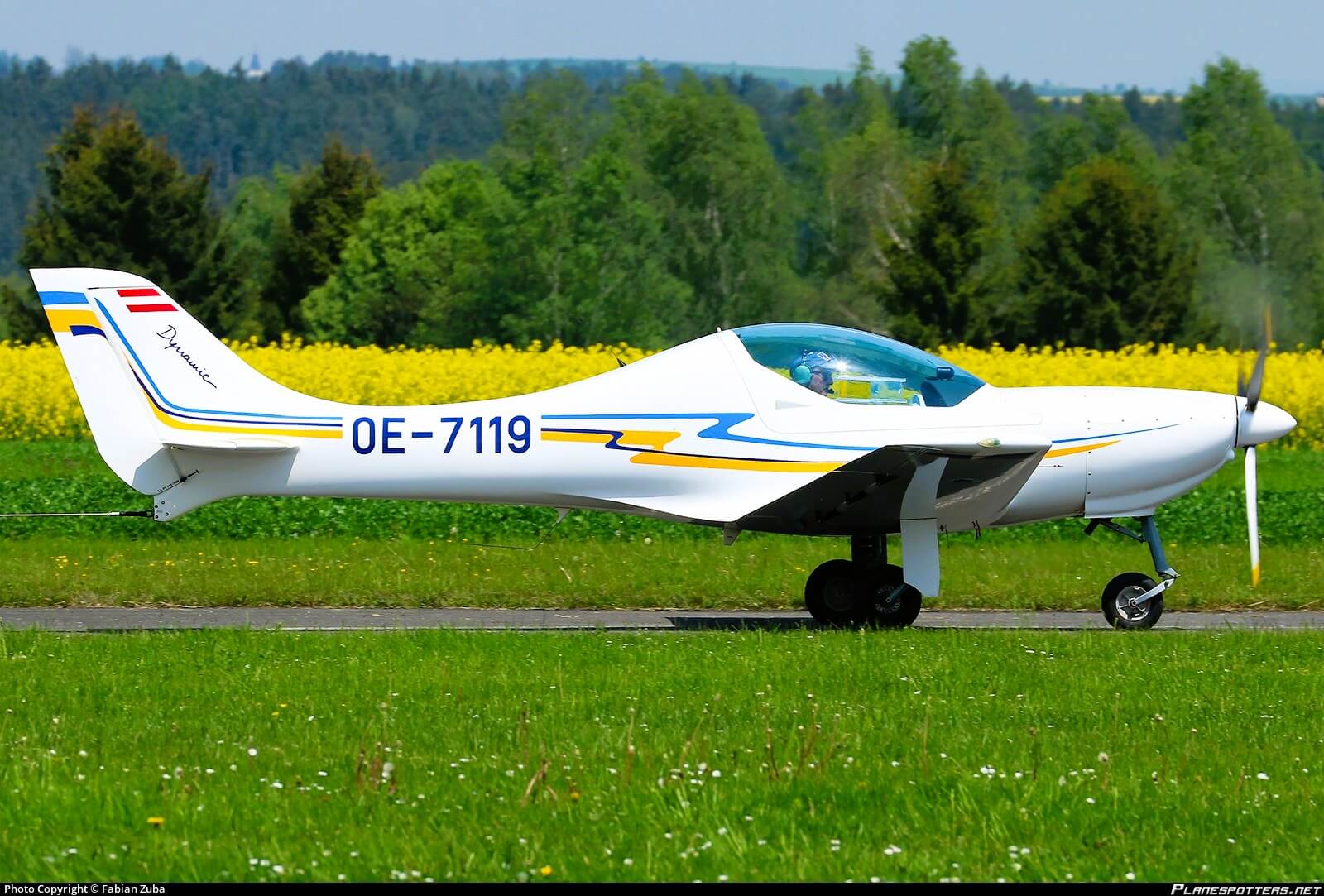 WT9 Dynamic